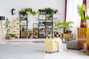 décoration salon moderne