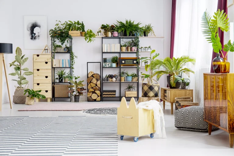 décoration salon moderne